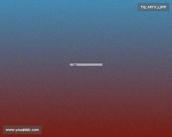 超级GT锦标赛激情竞速巅峰对决荣耀盛宴全解析